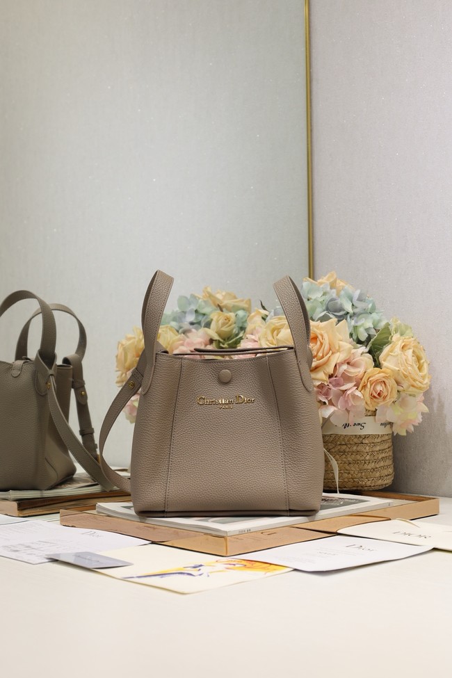 Dior Medium Signature Bucket Bag Grained Calfskin M2841USKU gray