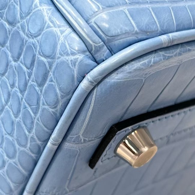 Hermes Birkin Nile crocodile leather 7765-3
