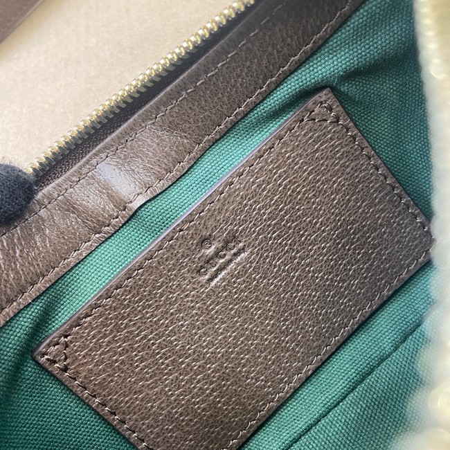 GUCCI Ophidia mini shoulder bag 838465 brown