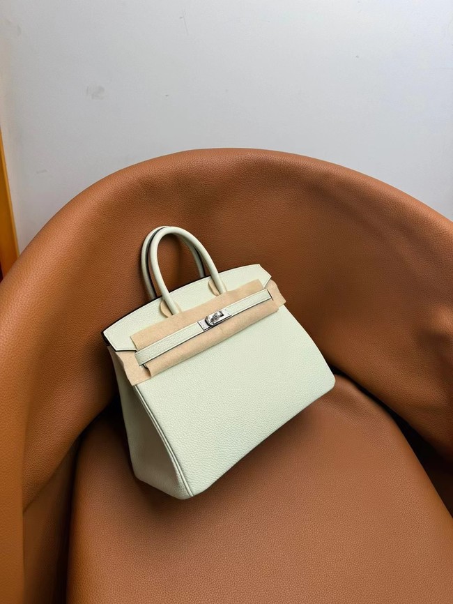 Hermes Birkin Bag Leather togo 5570-3