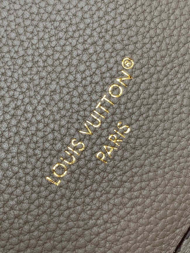 Louis Vuitton REVERSIBLE Neverfull Bandouliere Inside Out BB M12099 Dark Fango&Monogram