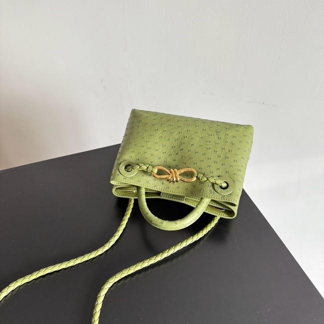 Bottega Veneta Mini Andiamo Sapele 805232 green