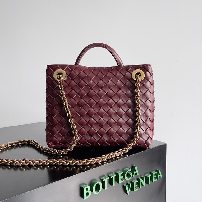 Bottega Veneta Small Andiamo 766014 Barolo
