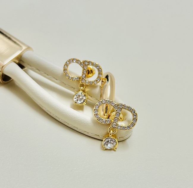 Dior Earrings CE89993