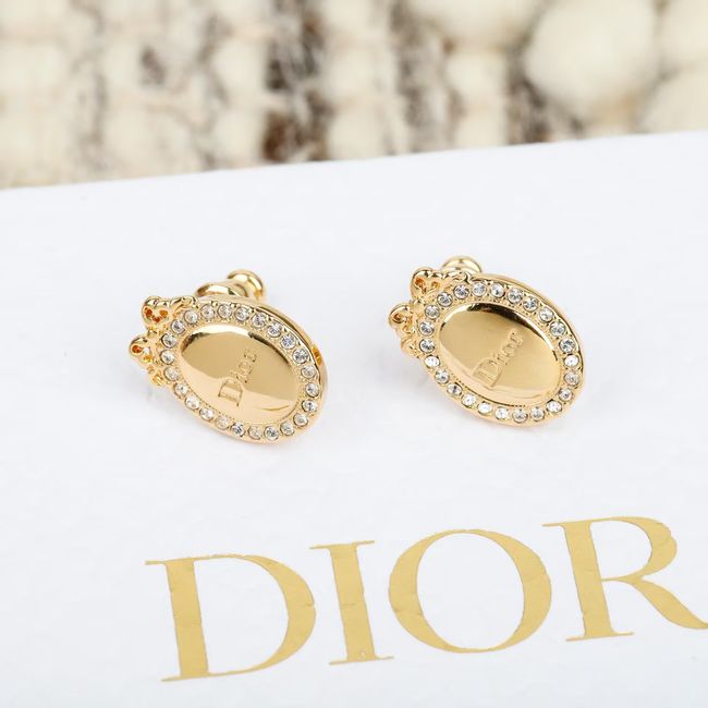 Dior Earrings EE10010